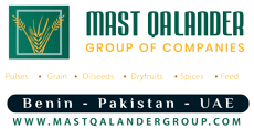 Mast Qalander Group