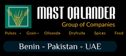 Mast Qalander Group